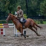 Profile Picture of Antonio Corso (@toni_corso) on Instagram