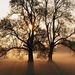 Profile Picture of Patrick Vandeven (@patrickv1840) on Pinterest
