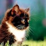 Profile Picture of Daniel Wendling (@daniel.wendling.90) on Instagram