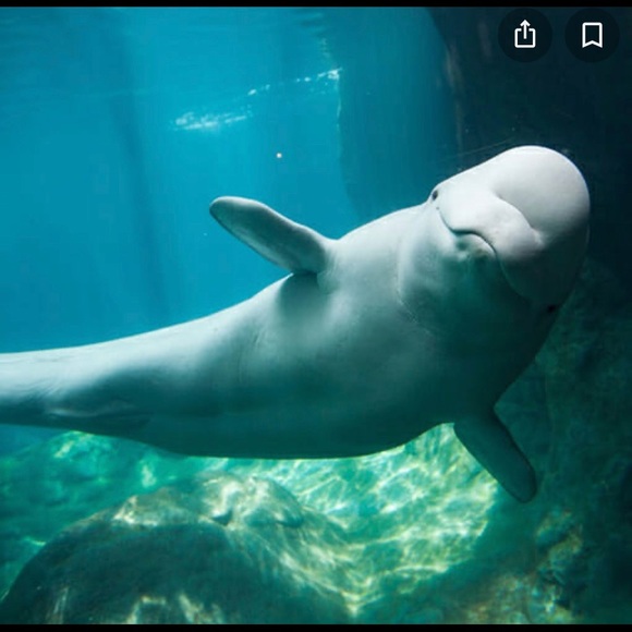 Profile Picture of Marissa Jacabacci (@marissaj624) on Poshmark