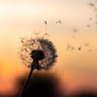 Lael Alexander - Quora Profile Picture of Lael Alexander (@lael-alexander-1) on Quora