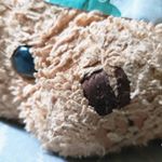 Profile Picture of 一隻熊走天下 (@bear_tabibi_1219) on Instagram