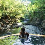 Profile Picture of Nancy Pochakom (@nancypoch) on Instagram