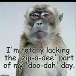 Profile Picture of Richard Athanasiadis (@richardathanasiadis) on Instagram