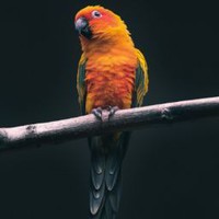 Brian Rodi - Quora Profile Picture of Brian Rodi (@brian-rodi) on Quora