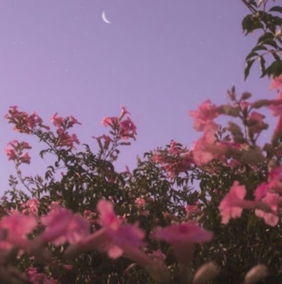 Profile Picture of Hannah Hicks (@hannahhicks2204) on Poshmark