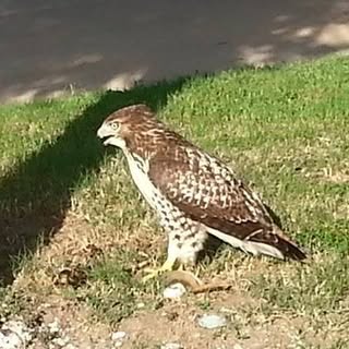 Profile Picture of Mark Pells (@markpells) on Instagram