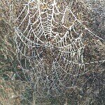 Heather Kendrick - Instagram Profile Picture of Heather Kendrick (@heather.kendrick.94) on Instagram