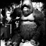 Jeff Himmel - Facebook Profile Picture of Jeff Himmel (@jeffhimmel) on Facebook