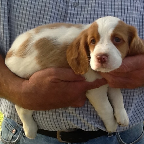 Profile Picture of Melissa Grindell (@mdgrindell) on Poshmark