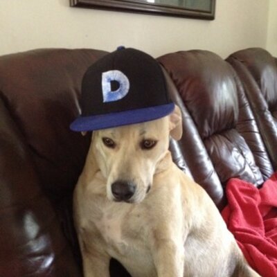 Profile Picture of Daniel Putman (@ProvenDan007) on Twitter