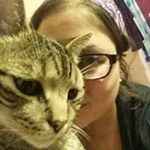 Profile Picture of Michael Giannetti (@mgiannetti4) on Instagram