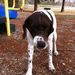 Profile Picture of Cindy Arsenault (@jothem) on Pinterest