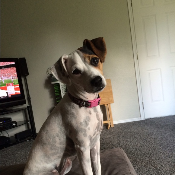 Profile Picture of Courtney Pernick (@courtneybeth06) on Poshmark