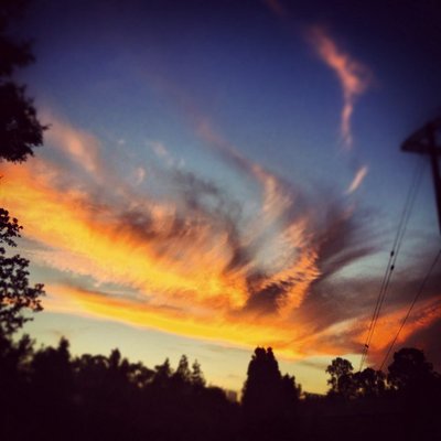 Profile Picture of Sean Thomas Olivares (@NeverSayDieOh) on Twitter