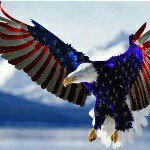 Chris Scheible - Instagram Profile Picture of Chris Scheible (@steelcity2006) on Instagram