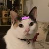 Profile Picture of Holly Stevens (@@hollysteves) on Tiktok