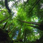 Profile Picture of Jonathan Hilton (@jon.athan.hil.ton) on Instagram