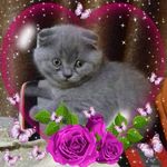 Profile Picture of Алина Бетер (@beteralina) on Instagram