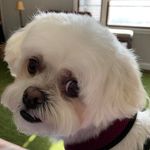 Profile Picture of Wanda Curtis Aiken (@wanda.aiken) on Instagram