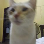 lukas kevin - Instagram Profile Picture of lukas kevin (@lukas_kevo) on Instagram