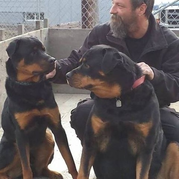 Profile Picture of Dave Richards (@dragonsden66) on Poshmark