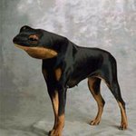 Profile Picture of William Singleton (@william.singleton) on Instagram