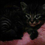 Profile Picture of jonna lopez (@jonna123455566) on Instagram