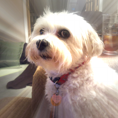 Profile Picture of Deborah Heath (@DeborahHeath) on Twitter