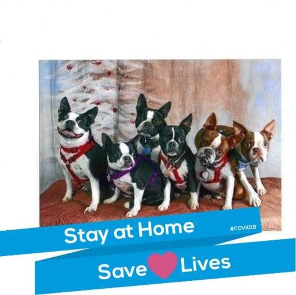 Profile Picture of Wanda Walters (@musicboxlady76) on Poshmark