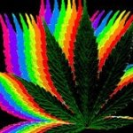 Profile Picture of Joey Salazar (@big_stoner420) on Instagram