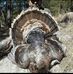 Profile Picture of Keith Sanford (@keith.sanford.5209) on Facebook