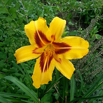 Profile Picture of Andrew Mcgaughey (@mcgaughey_andrew) on Flickr