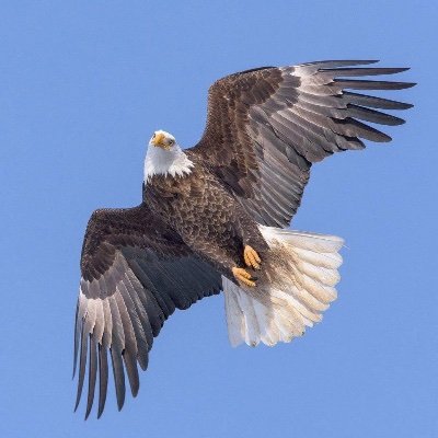 Profile Picture of John Fiscal Conservative (@JohnFiscalCons1) on Twitter