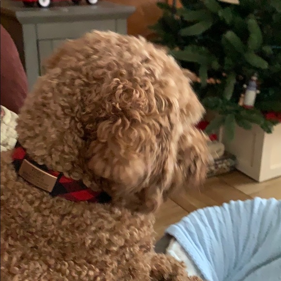 Profile Picture of Chris Schuller (@chrisschuller) on Poshmark