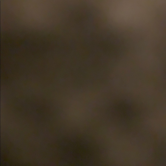 Profile Picture of Blake Berray (@berrayblake) on Poshmark