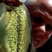 Profile Picture of Jeffrey Bonin (@jeffrey.bonin.3) on Facebook