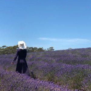 Profile Picture of Iris Xu Bai (@IrisXuBai1) on Twitter