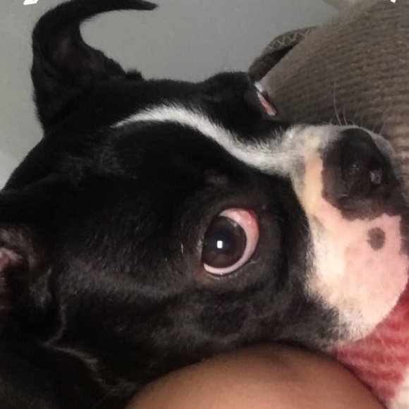 Gianna Barone - Poshmark Profile Picture of Gianna Barone (@giannambarone) on Poshmark