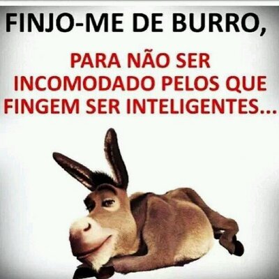 Profile Picture of Sonia Vaz (@SoniaVaz5) on Twitter