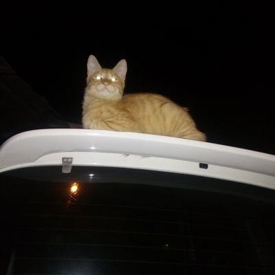 Profile Picture of Richard Gallardo (@Richard26044515) on Twitter