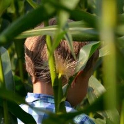 Profile Picture of Jo Whitfield (@Jo_Whitfield) on Twitter