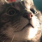 Profile Picture of Nathan Pennock (@nathan.pennock.94) on Facebook