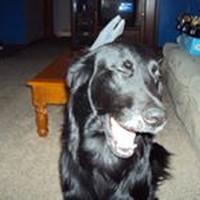 Profile Picture of Bobbi Bailey (@bobbi-bailey-1) on Quora