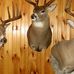 Profile Picture of Paul Shore (@paul.shore.9406) on Facebook