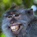 Profile Picture of Jason Krebs (@jason.krebs.7906) on Facebook