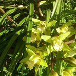 Profile Picture of Emma Patrick (@emmanuella.rochetaing) on Instagram