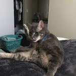 Profile Picture of Joey Fleming (@joey.fleming.395) on Instagram