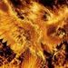 Profile Picture of Pheonix Malpasso (@brianmalpasso) on Pinterest