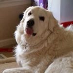 Profile Picture of Kathleen Buffington Worth (@chattyk25) on Instagram